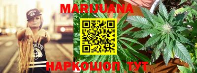 амф Гатчина